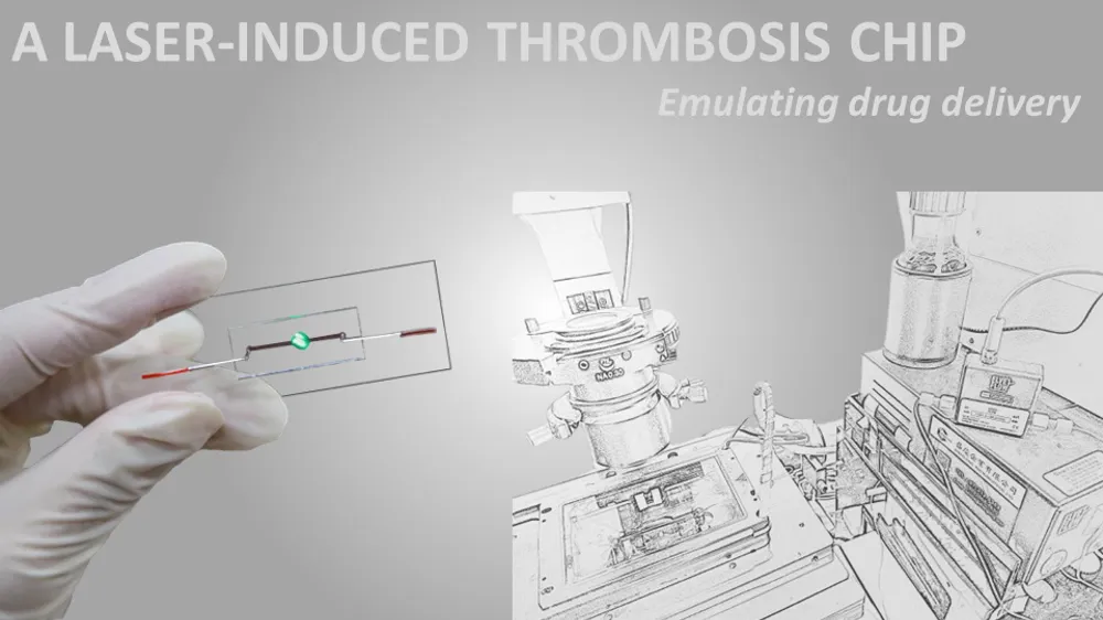 A laser-induced thrombosis on a chip