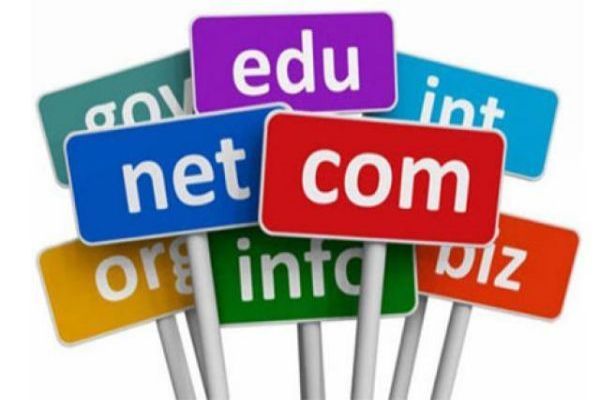 河北网站开发行业前景如何？市场潜力解析与发展机会