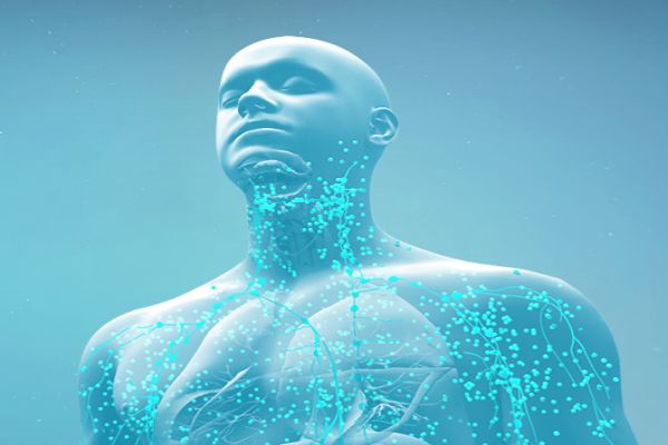 河北优秀行业网站开发公司推荐，助力企业快速提升在线竞争力